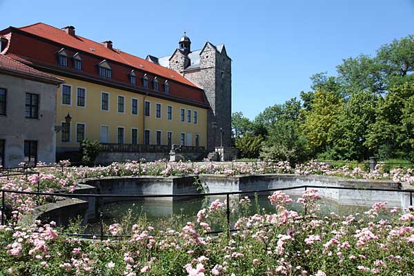 Ballenstedt - Schloss