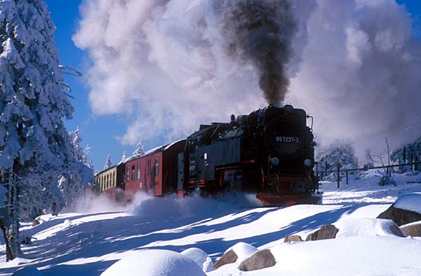 Dampfzug fährt durch den Winterwald am Brocken