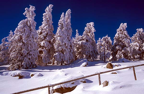 Winterimpressionen am Brocken im Harz