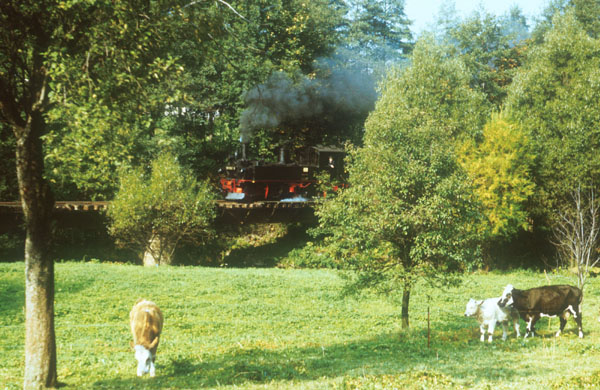 99 1582 bei Großrückerswalde