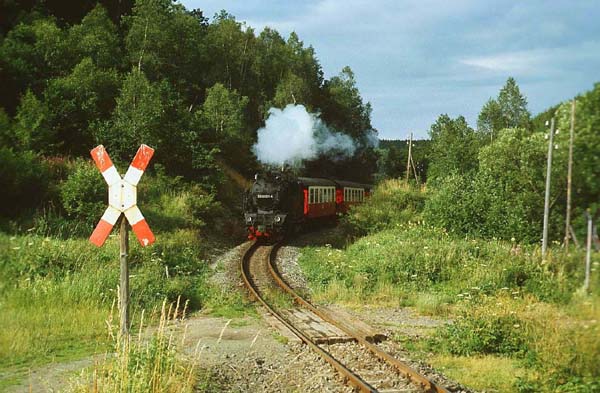 99 6001 bei Straßberg-Glasebach