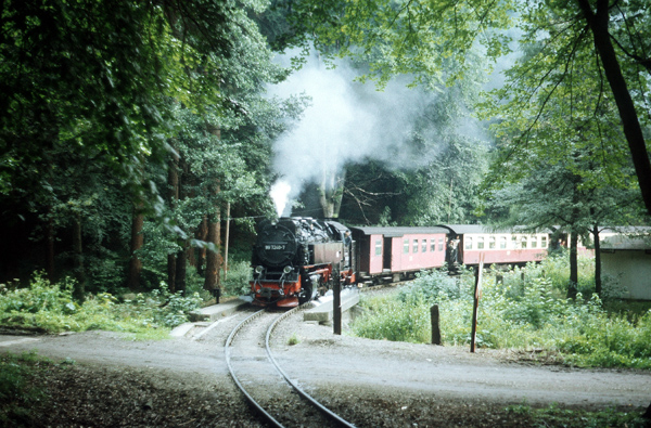 am Hp. Steinerne Renne