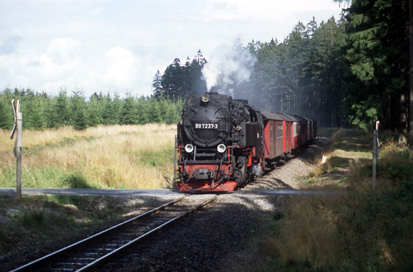 997237 zwischen Elend und Sorge