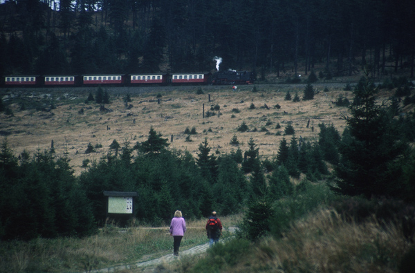 zw. Brocken und Schierke