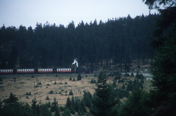 zw. Brocken und Schierke