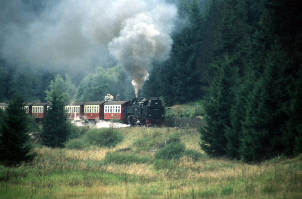 997243 zwischen Sorge und Elend