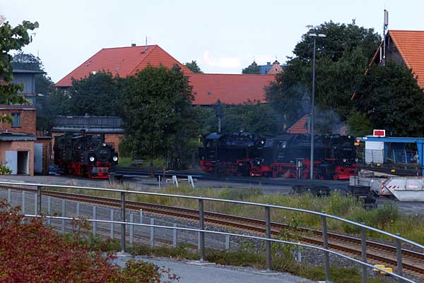995901-995902-997237-996001 im BW Wernigerode - Harzquerbahn