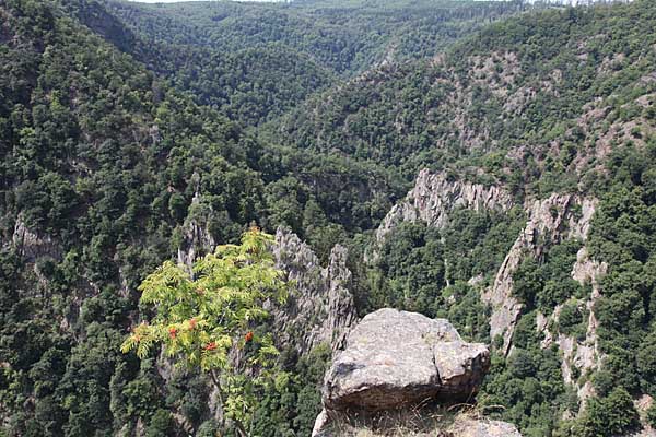 Blick ins Bodetal
