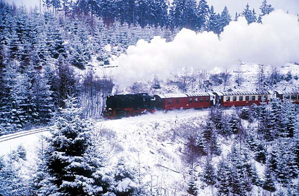 Dampfzug zwischen Wernigerode und Drei Annen Hohne