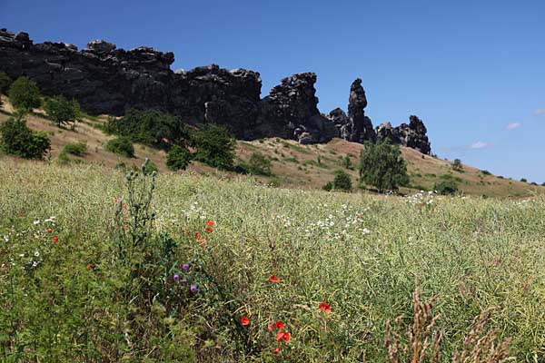 Teufelsmauer bei Weddersleben