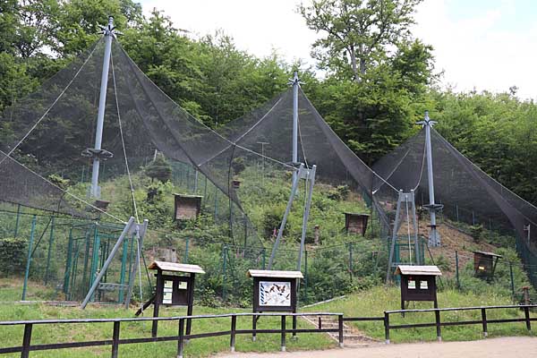 Greifvogelgehege im Wildpark Wernigerode Christianental